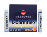 LC-Amp.jpg