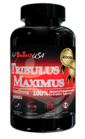 Tribulus_maximus.png